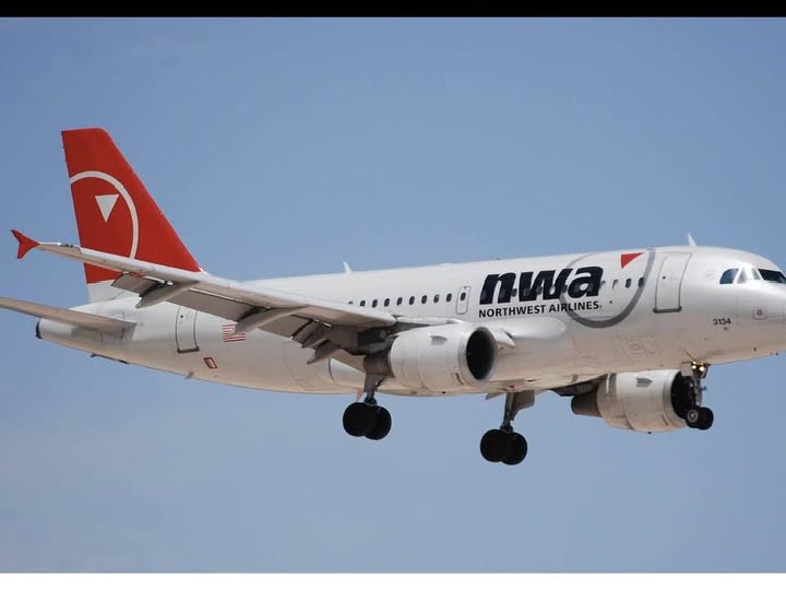 m1001